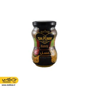 عسل رژیمی شانیک - 450 گرم